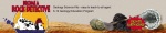 Rock Detective Geoscience Education